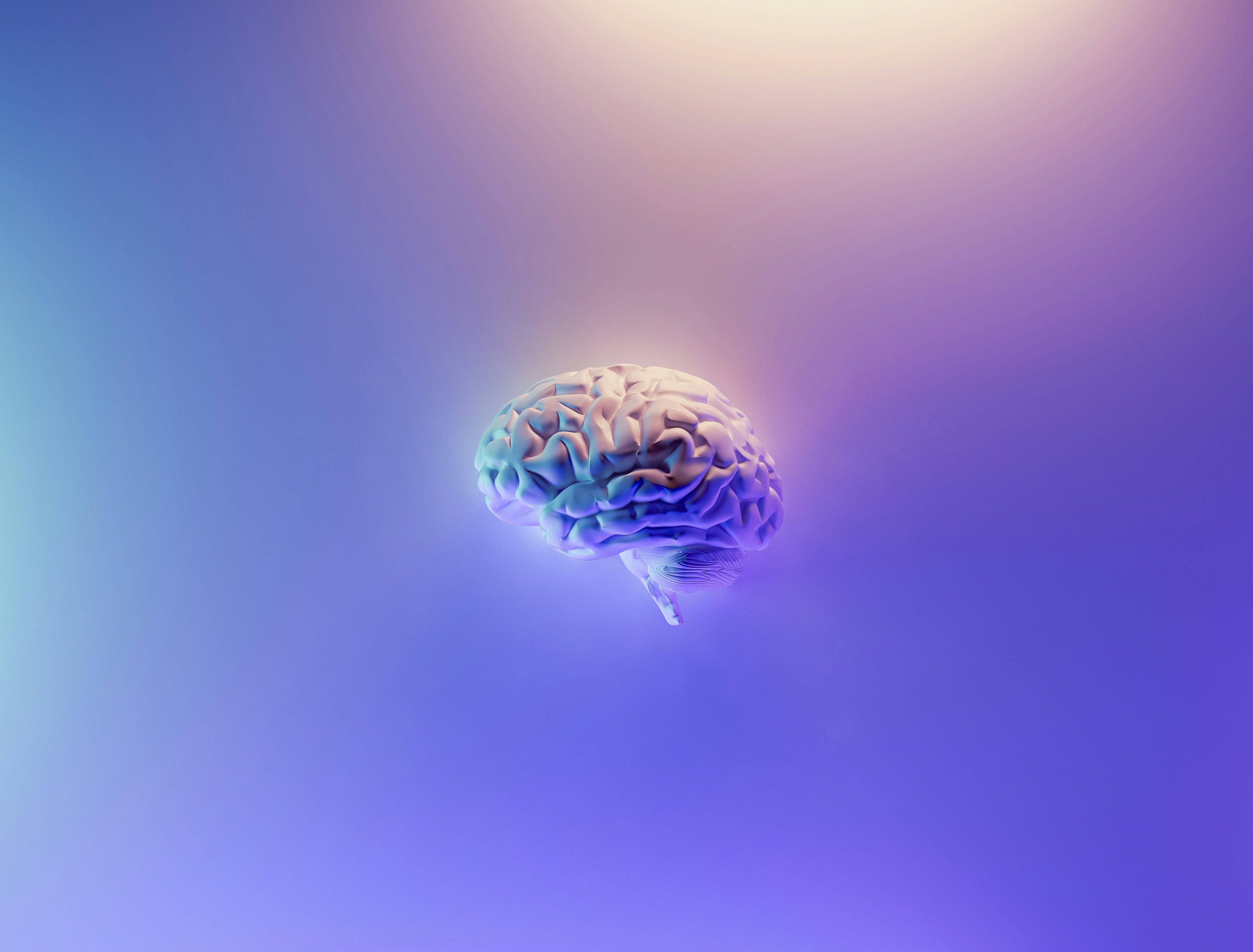 Milad Fakurian 58 Z17ln V S4 U Unsplash